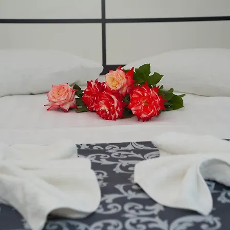 Marinn 1 Guest house Costinesti